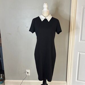Sophisticated Black Midi Dress with White Collar
